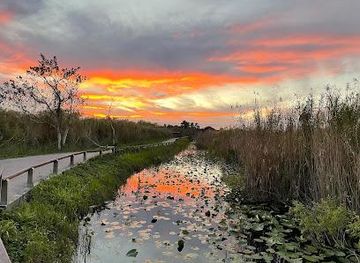 florida/homestead/attraction/everglades-national-park