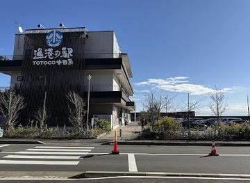 japan/hakone/attraction/totoco-odawara