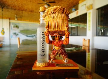 peru/arequipa-region/attraction/bodega-camana-pisco-camana