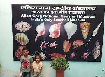india/jaipur/attraction/alice-garg-national-seashell-museum-jaipur
