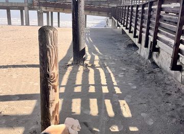 texas/south-texas/attraction/port-aransas-beach