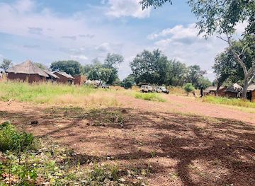 chad/lake-chad/attraction/southern-national-park