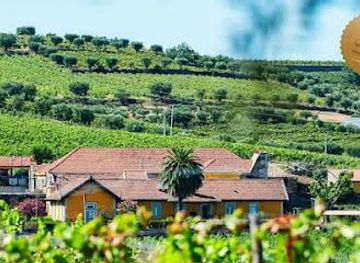 portugal/vila-real/attraction/quinta-do-monte-travesso