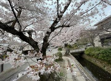 japan/nara/attraction/philosopher-s-path