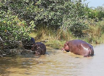 south-africa/elephant-coast/attraction/advantage-cruiser