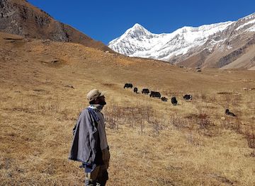nepal/shey-phoksundo-national-park/attraction/peak-tj