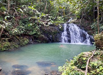 belize/southern-belize-barrier-reef/attraction/mayflower-bocawina-national-park