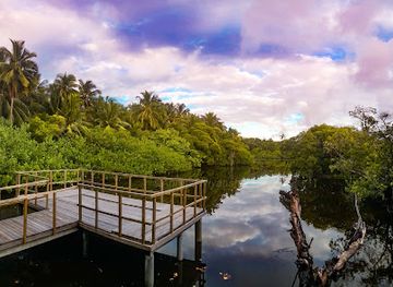 maldives/thinadhoo-island/attraction/eco-park