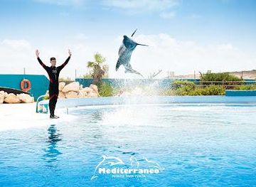 malta/mdina/attraction/mediterraneo-marine-park