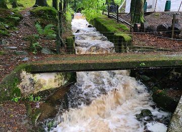 united-kingdom/isle-of-man/attraction/ape-mann-adventure-park