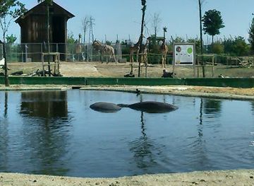 italy/emilia-romagna/attraction/safari-ravenna