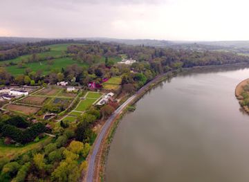 ireland/county-waterford/attraction/mount-congreve-gardens