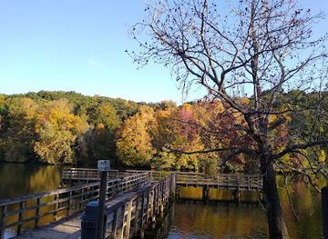 tennessee/southwest-tennessee/attraction/roane-county-park