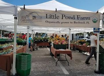 florida/tampa/attraction/st-petersburg-saturday-morning-market