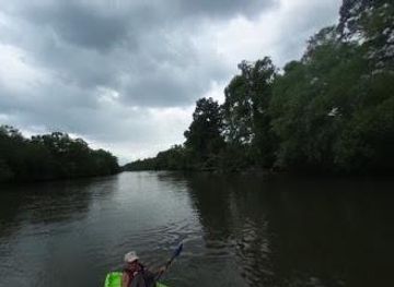 north-carolina/asheville/attraction/french-broad-river