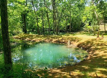 kentucky/bluegrass-region/attraction/mcconnell-springs-park