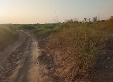 Mekong Riverside Walk