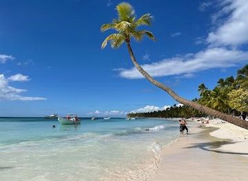 dominican-republic/punta-cana/attraction/the-top-the-best-excursions-in-punta-cana