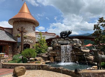 tennessee/gatlinburg/attraction/anakeesta-pictures