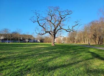 germany/cologne/attraction/hiroshima-nagasaki-park