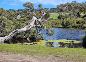 australia/kangaroo-island/attraction/lashmar-conservation-park