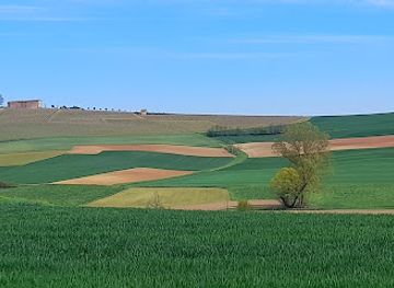 italy/monferrato/attraction/double-tree