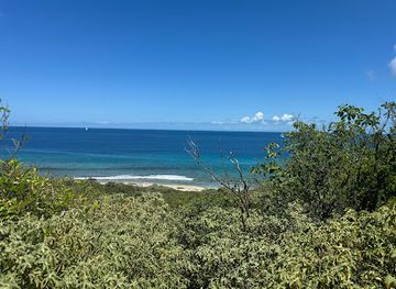 british-virgin-islands/virgin-gorda-peak/attraction/99-steps-trailhead