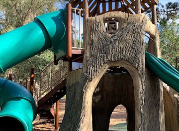 florida/ocala/attraction/scott-springs-park