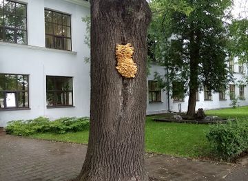 estonia/viljandimaa/attraction/jarvakandi-glass-museum