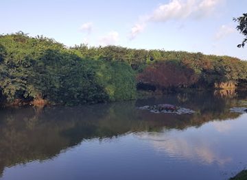 sri-lanka/colombo-district/attraction/attidiya-bird-sanctuary