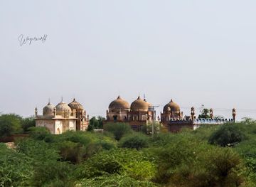 pakistan/cholistan-desert/attraction/royal-graveyard