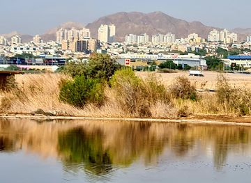 israel/eilat/attraction/eilat-ornithological-park