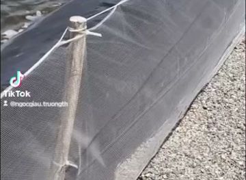 cambodia/kep-province/attraction/fountain-dragons