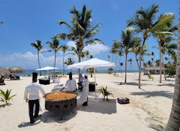 dominican-republic/punta-cana-bavaro/attraction/dolphin-explorer