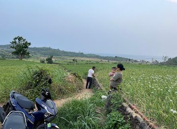 vietnam/central-highlands/attraction/swiftlets-bay