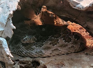 Living Desert Zoo & Gardens State Park