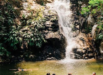 colombia/santa-marta/attraction/day-hike-in-minca-and-driver