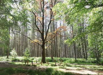 belgium/flemish-brabant/attraction/kapucijnenbos