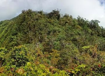 indonesia/highlands-papua/attraction/mount-bosavi