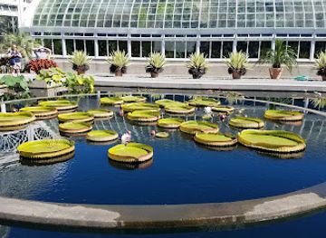 new-york/new-york-city/bronx/attraction/everett-children-s-adventure-garden-nybg