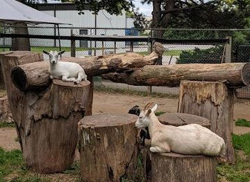 canada/niagara-falls/attraction/happy-rolph-s-animal-farm