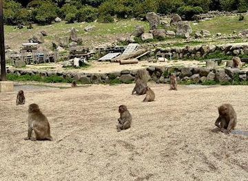 japan/bizen/attraction/choshi-valley-monkey-kingdom-natural-zoo