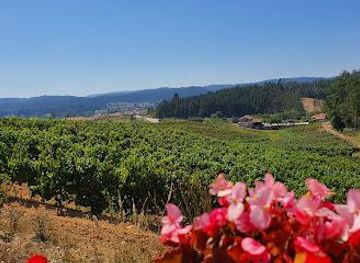 portugal/aveiro/attraction/sociedade-agricola-boas-quintas-lda