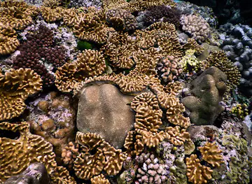 Rockwater Marine Sanctuary