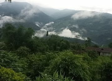 bhutan/western-bhutan/attraction/dhawley-paren-forest-busty