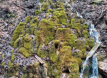 slovakia/muranska-planina-national-park/attraction/waterfall