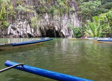 philippines/puerto-princesa/attraction/sabang-mangrove-forest