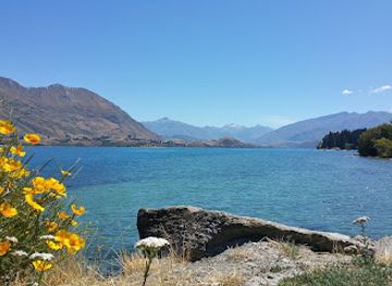new-zealand/wanaka/attraction/roys-bay-recreational-reserve-dinosaur-park