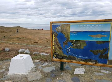 chile/magallanes-and-chilean-antarctica-region/attraction/los-pinguinos-natural-monument
