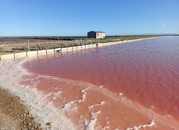 france/languedoc-coast/attraction/le-salin-de-l-ile-saint-martin-de-gruissan
